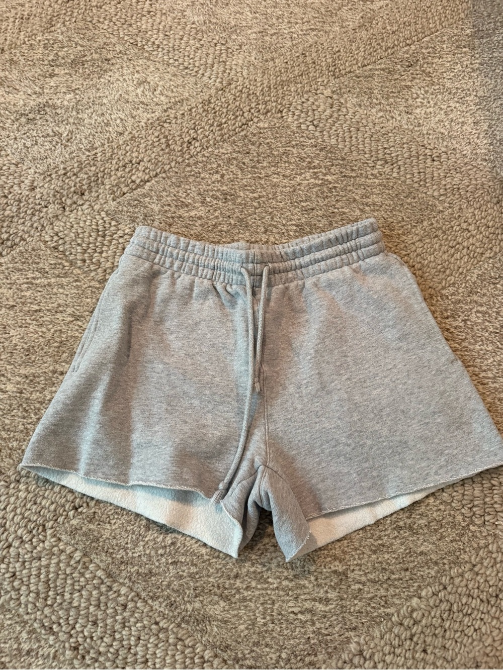 Aritzia sweatshorts